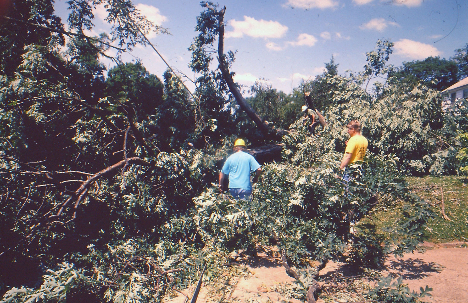Windstorm of 1993